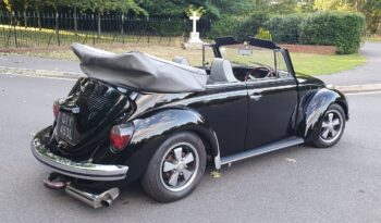 
									VW Beetle Cabrio full								