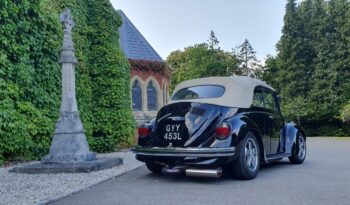 
									VW Beetle Cabrio full								