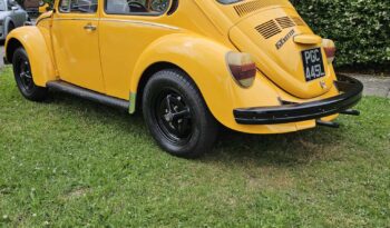 
									Gt beetle full								