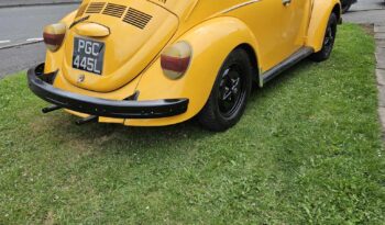 
									Gt beetle full								