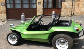 
									Beach buggy full								