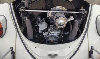 
									1964 VW Beetle RHD full								