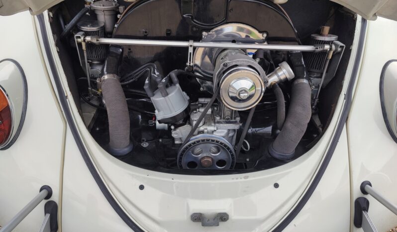 
								1964 VW Beetle RHD full									