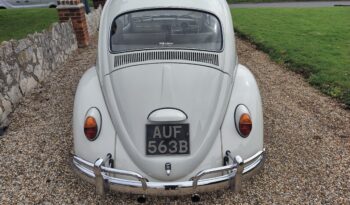 
									1964 VW Beetle RHD full								