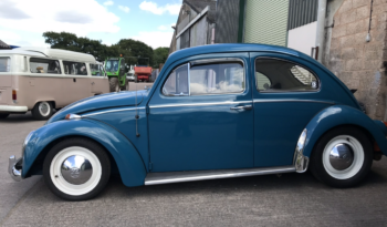 
									Volkswagen Beetle Used/Restored full								