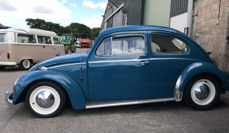 
								Volkswagen Beetle Used/Restored full									