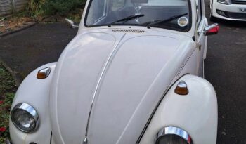 
									Vw Beetle full								