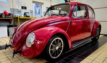 
									1966 “Cal Look” VW Beetle full								