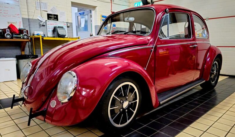 
								1966 “Cal Look” VW Beetle full									