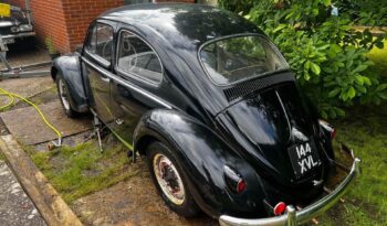 
									1958 Vw beetle project full								