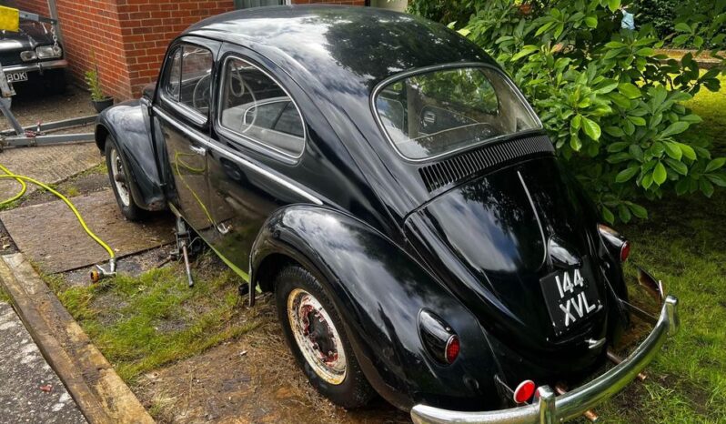 
								1958 Vw beetle project full									