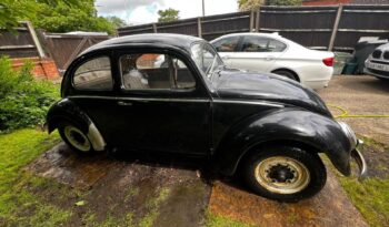 
									1958 Vw beetle project full								