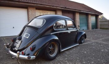 
									58 Swedish Survivor Beetle full								