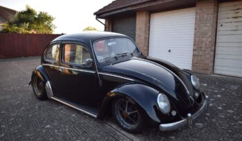 
									58 Swedish Survivor Beetle full								