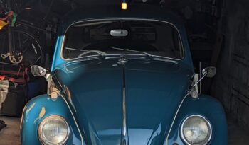 
									1964 Volkswagen Beetle full								